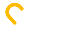 Sathwara InfoTech Logo